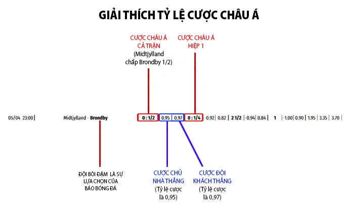 Cách Đọc Tỷ Lệ Trong Cá Cược 1X2