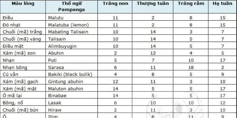 Hướng Dẫn Chọn Màu Mạng Gà Đá Theo Ngày