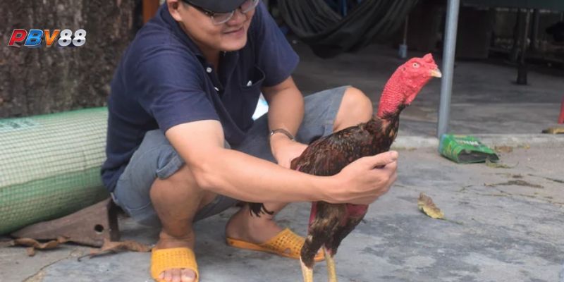 Chi tiết về điều kiện khí hậu nóng ẩm