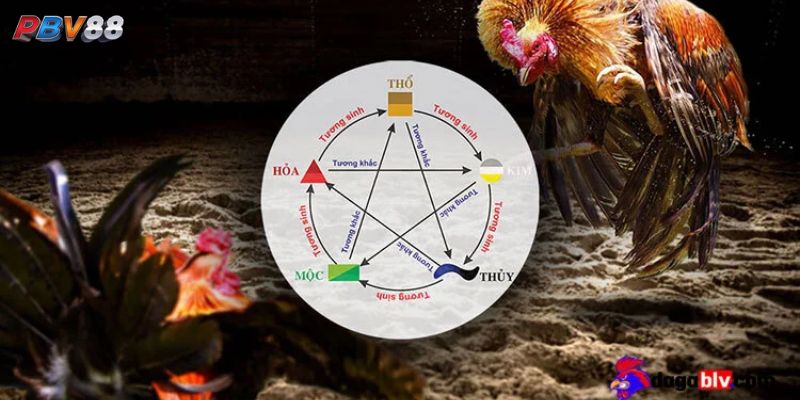 Tìm Hiểu Về Lịch Đá Gà