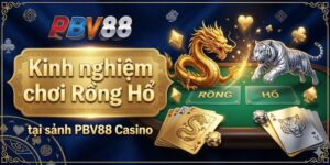 Kinh nghiệm chơi Rồng Hổ tại sảnh PBV88 Casino