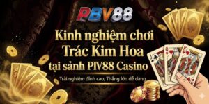Kinh nghiệm chơi Trác Kim Hoa tại sảnh PBV88 Casino