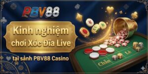 Kinh nghiệm chơi Xóc Đĩa Live tại sảnh PBV88 Casino