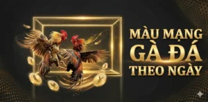 Màu Mạng Gà Đá Theo Ngày Chuẩn Cao Thủ Kê Chiến