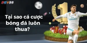 Tại Sao Cá Cược Bóng Đá Luôn Thua?
