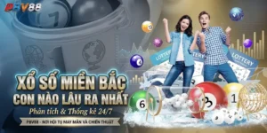 [Cập nhật 2026] Xổ số miền Bắc con nào lâu ra nhất?