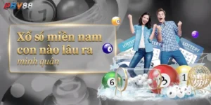 [Cập nhật 2026] Xổ số miền Nam con nào lâu ra Minh Quân?