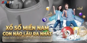 [Cập nhật 2026] Xổ số miền Nam con nào lâu ra nhất?