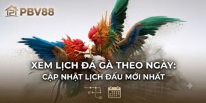 Xem Lịch Đá Gà Theo Ngày: Cập Nhật Lịch Đấu Mới Nhất