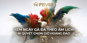 Xem Ngày Gà Đá Theo Âm Lịch: Bí Quyết Chọn Giờ Hoàng Đạo